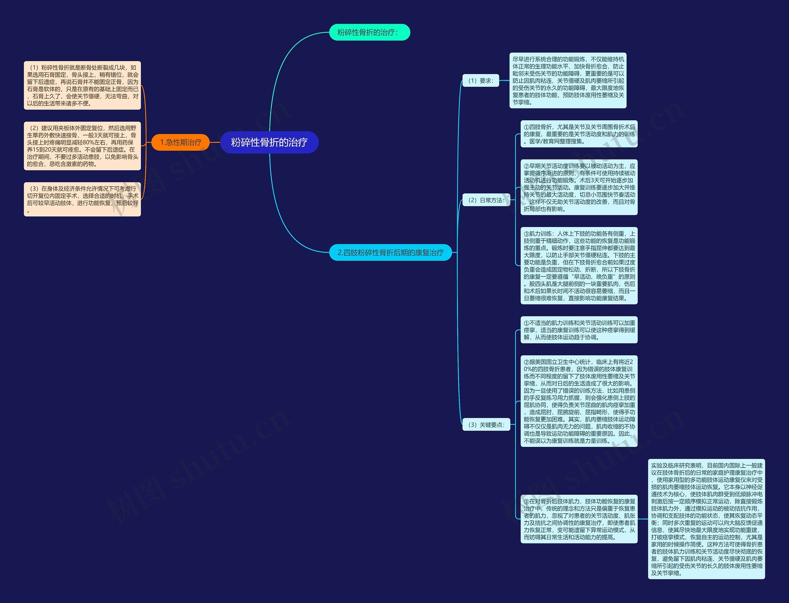 粉碎性骨折的治疗 粉碎性骨折的治疗
