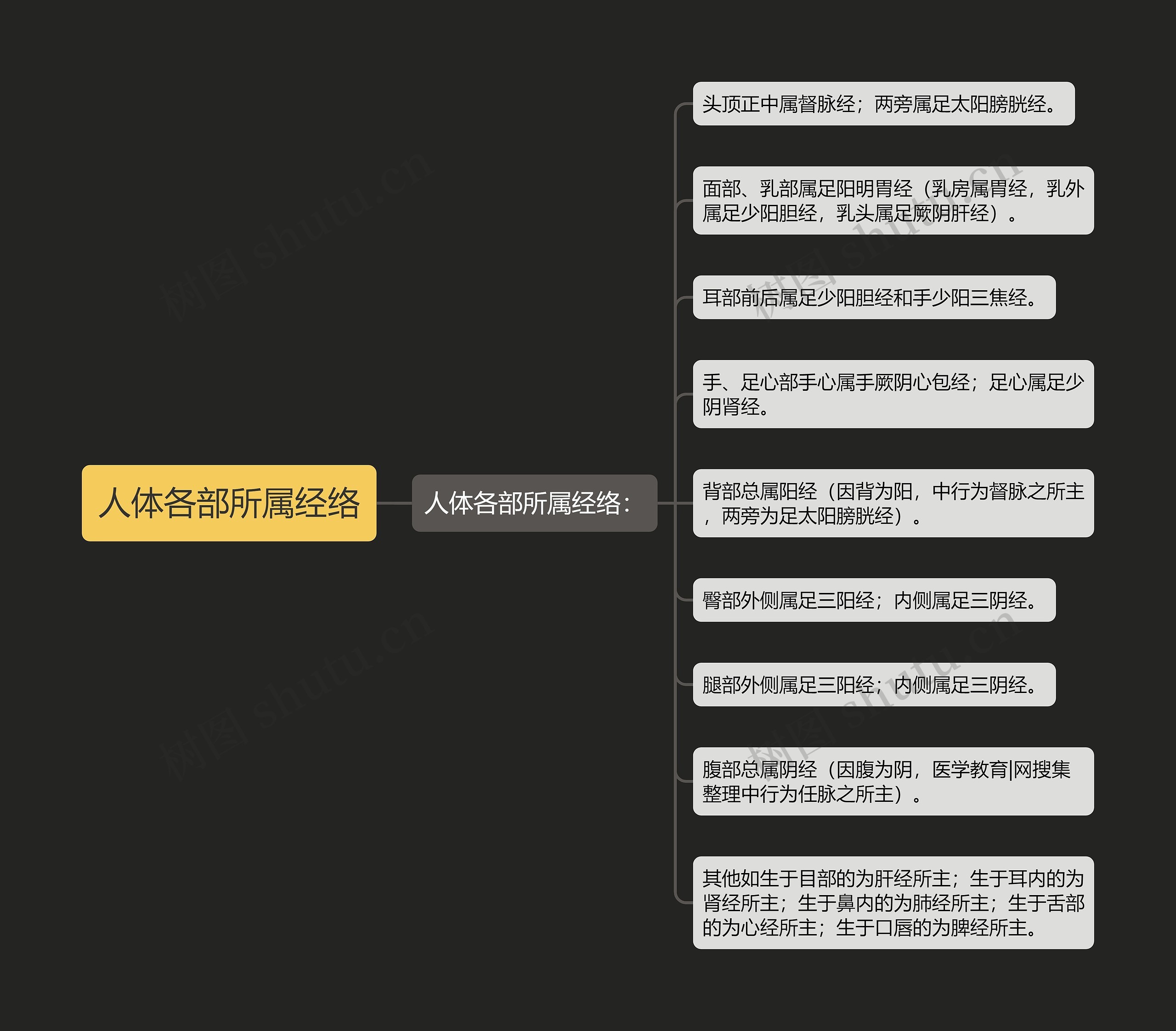 人体各部所属经络 人体各部所属经络