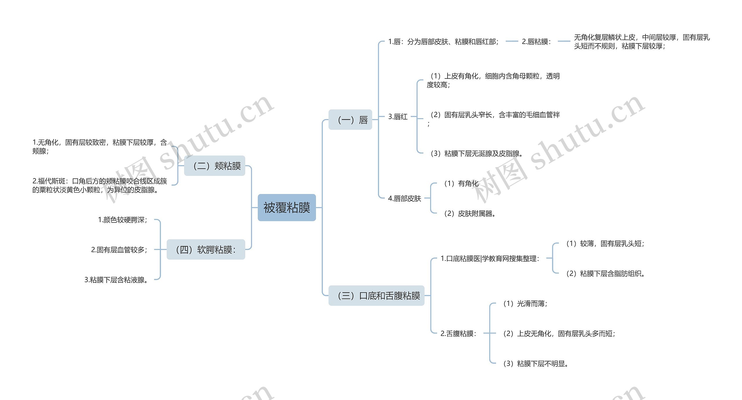 被覆粘膜思维导图