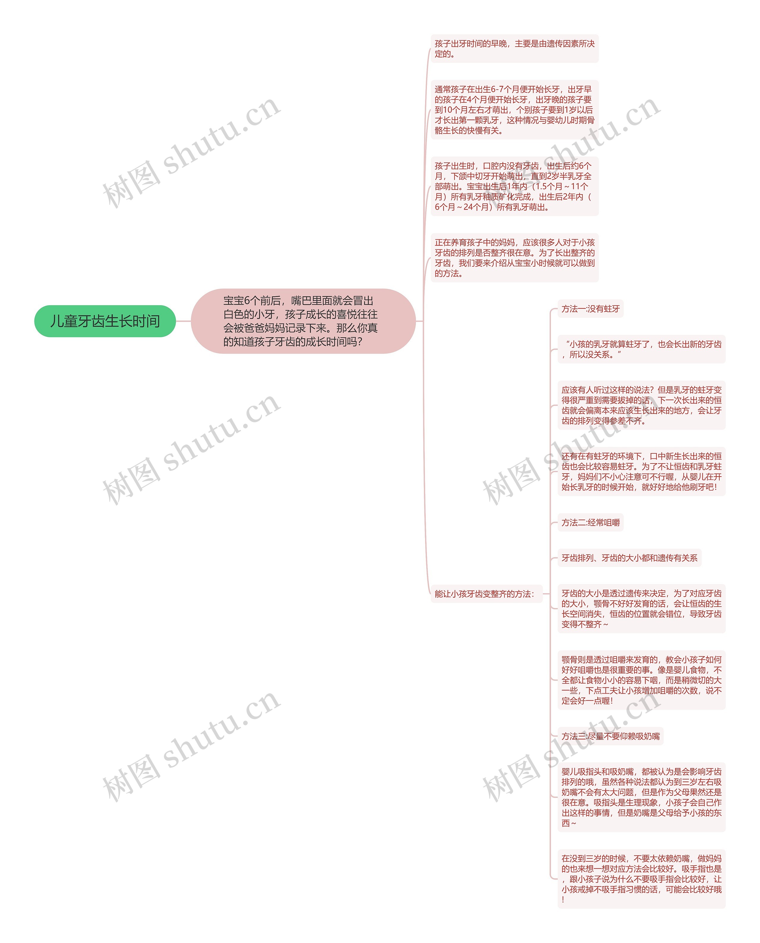 儿童牙齿生长时间思维导图