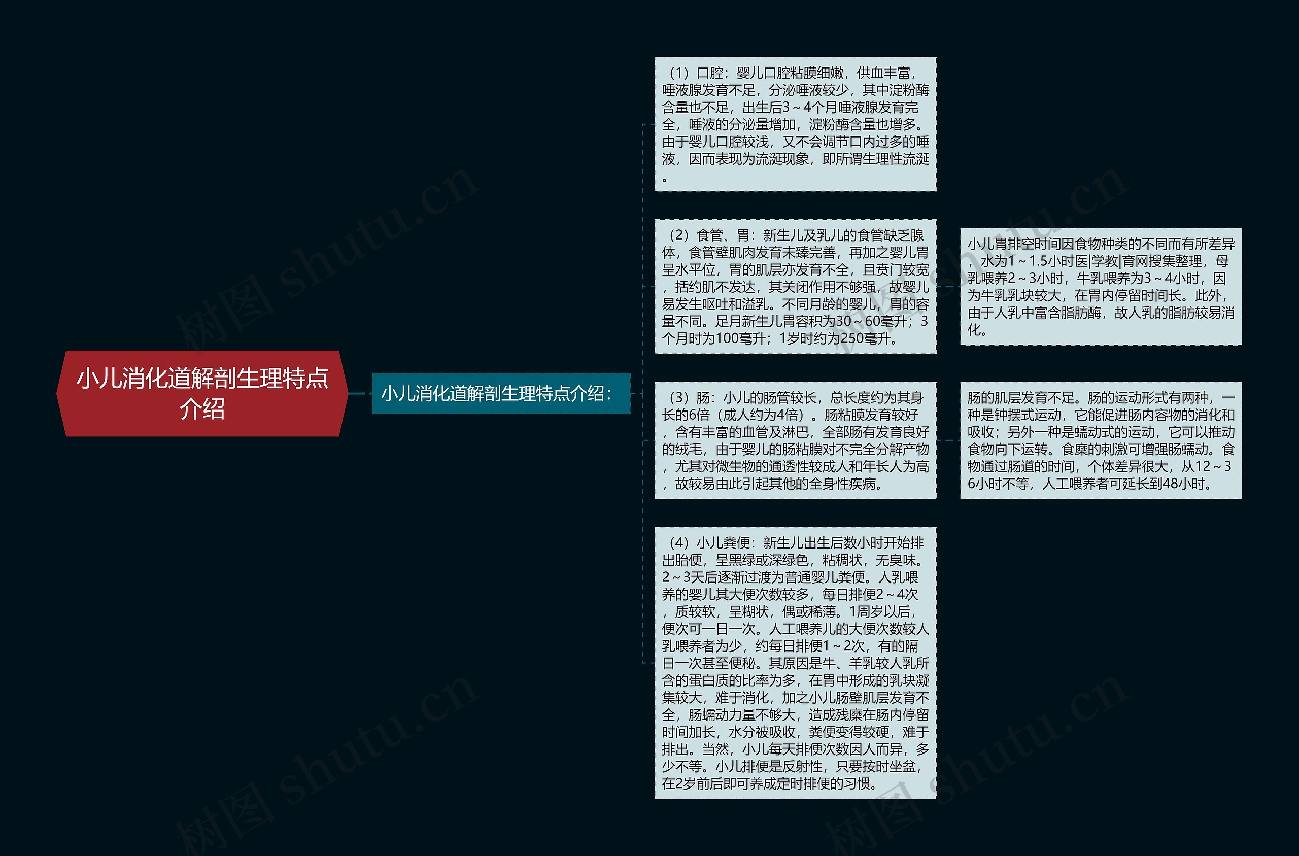 小儿消化道解剖生理特点介绍思维导图