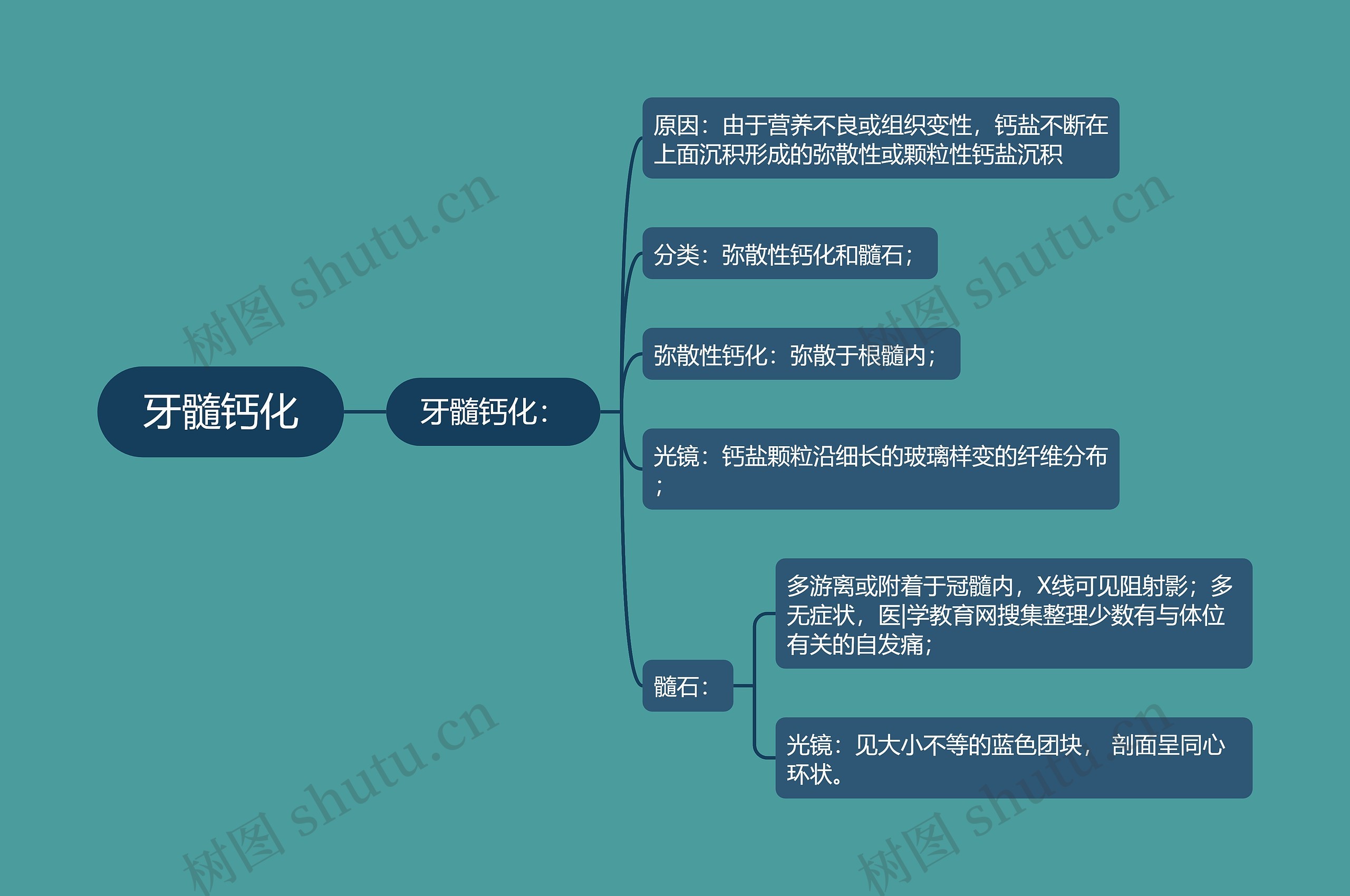 牙髓钙化思维导图