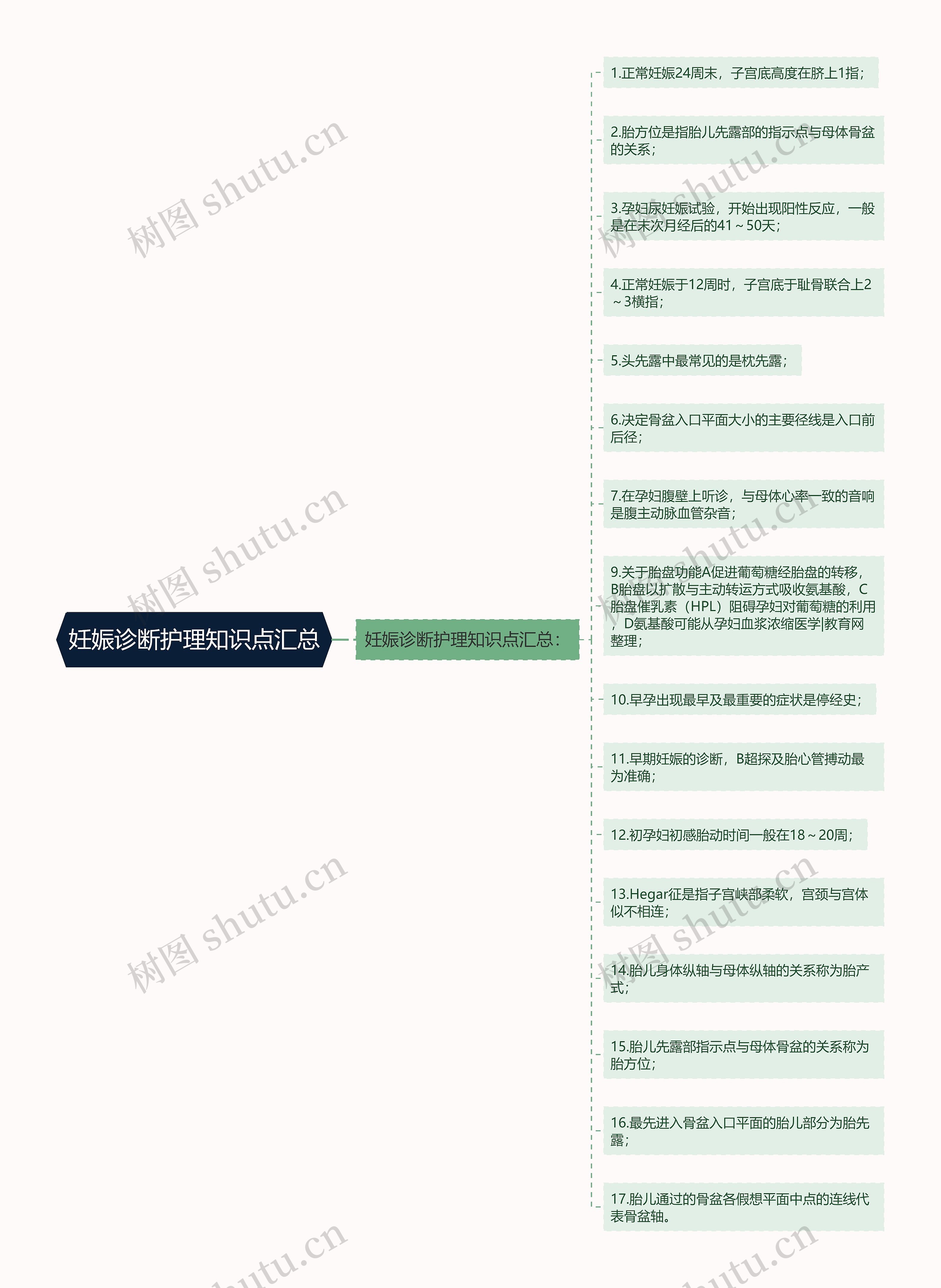 妊娠诊断护理知识点汇总思维导图