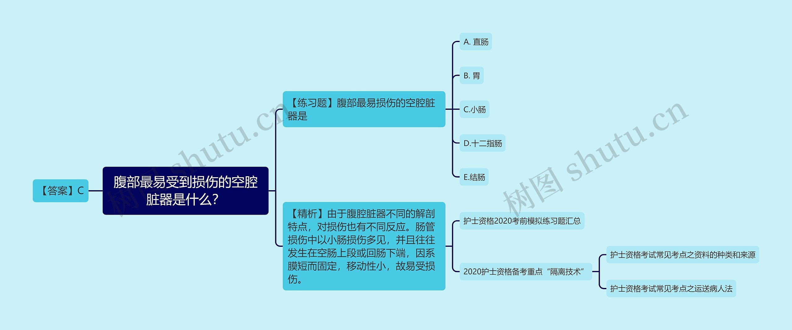 腹部最易受到损伤的空腔脏器是什么？