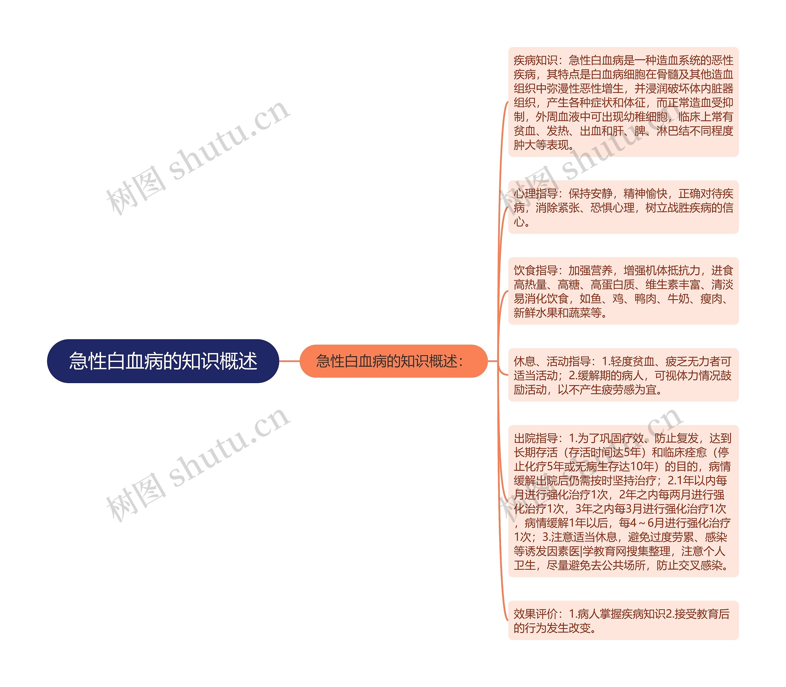 急性白血病的知识概述