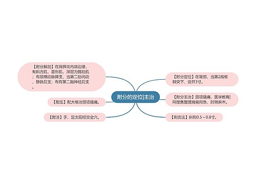 附分的定位|主治