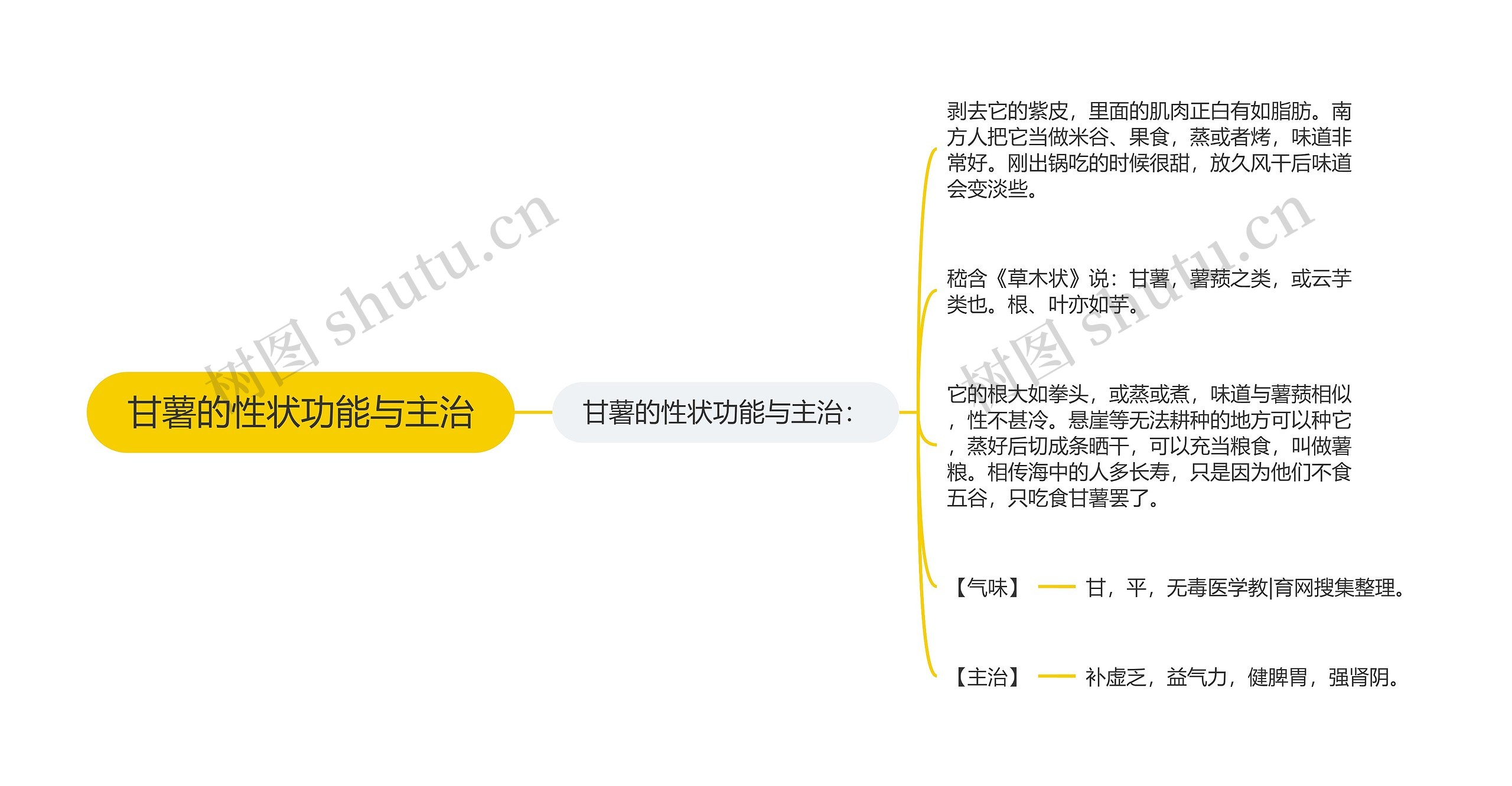 甘薯的性状功能与主治思维导图