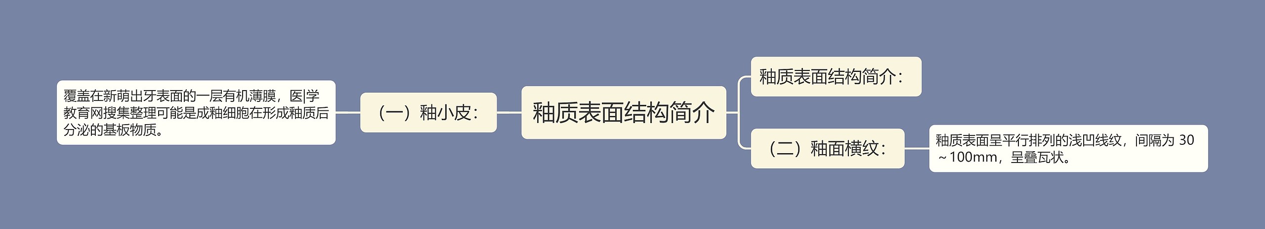 釉质表面结构简介