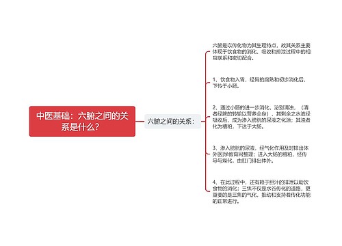 中医基础：六腑之间的关系是什么？