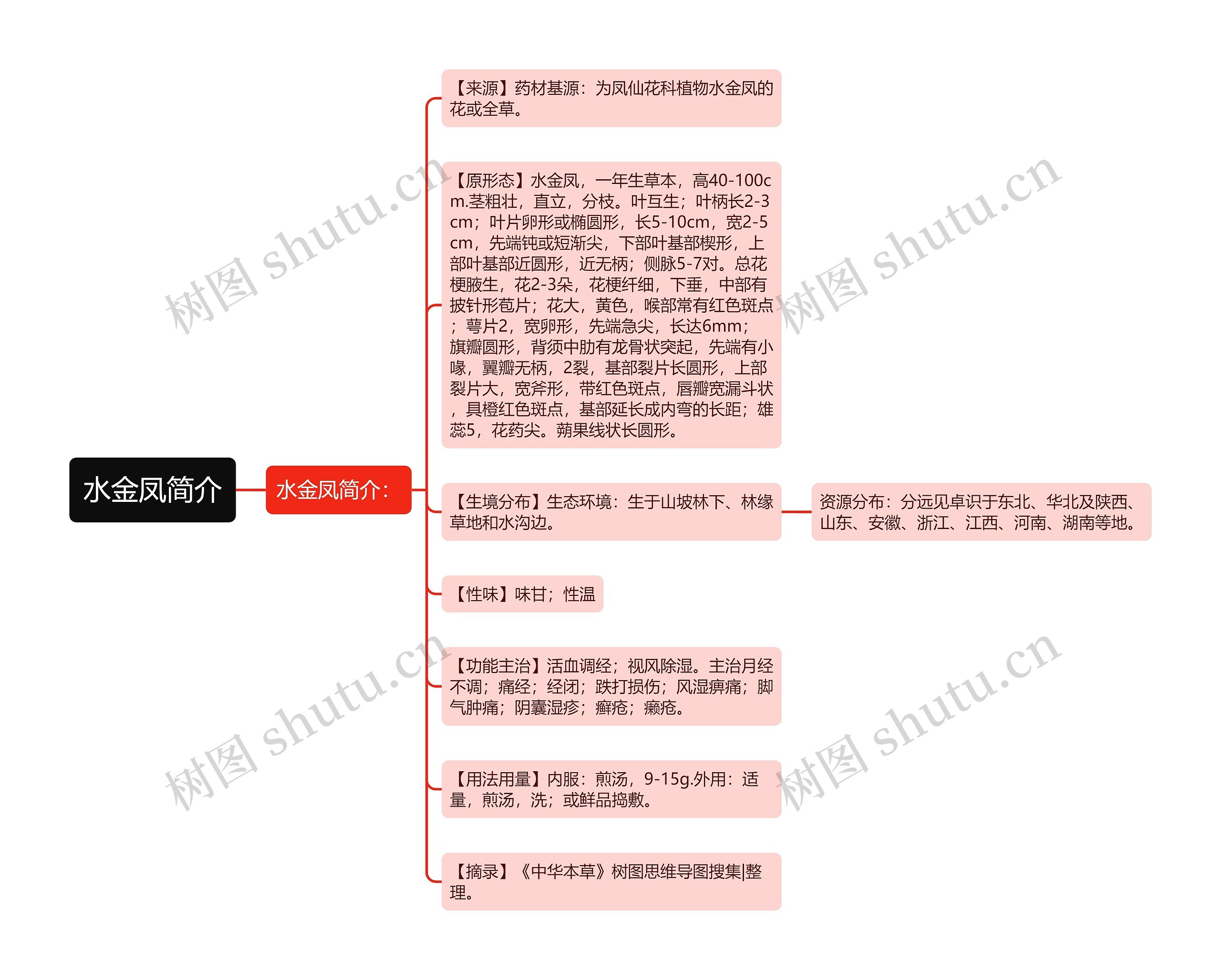 水金凤简介思维导图