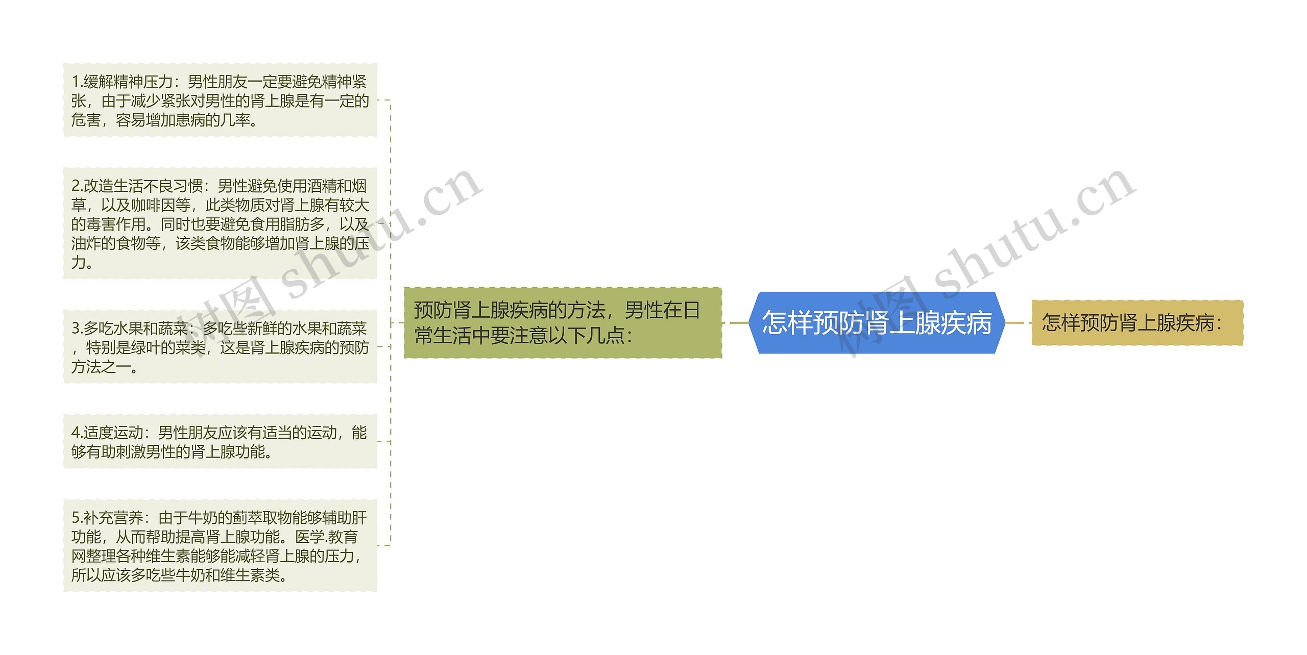 怎样预防肾上腺疾病思维导图