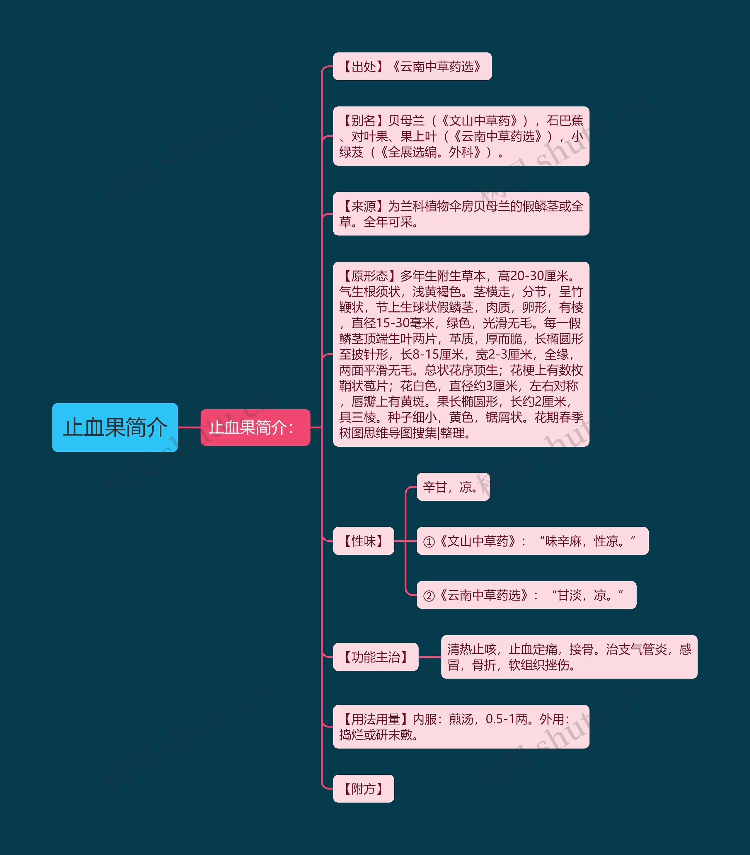 止血果简介 止血果简介