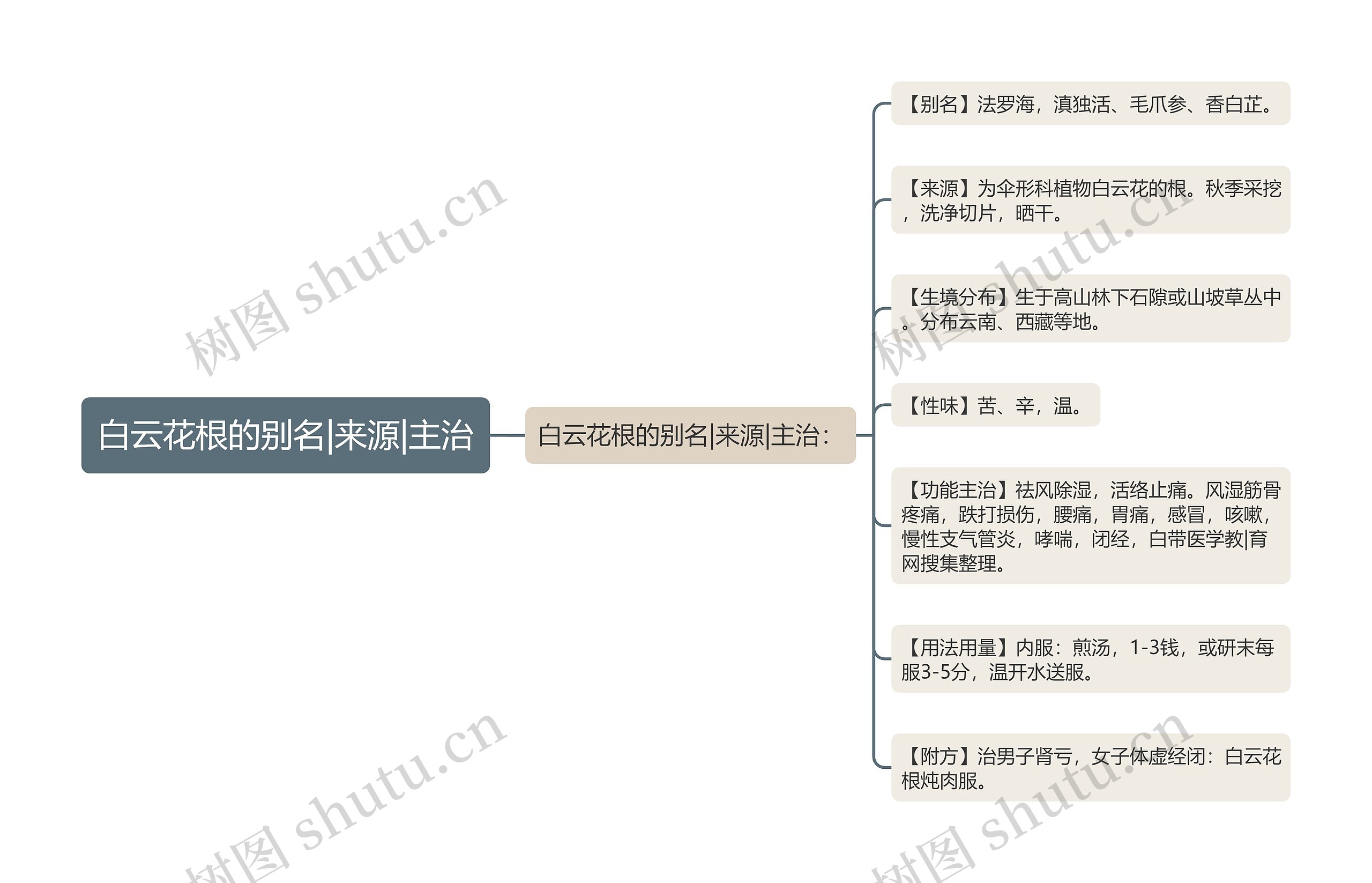 白云花根的别名|来源|主治思维导图