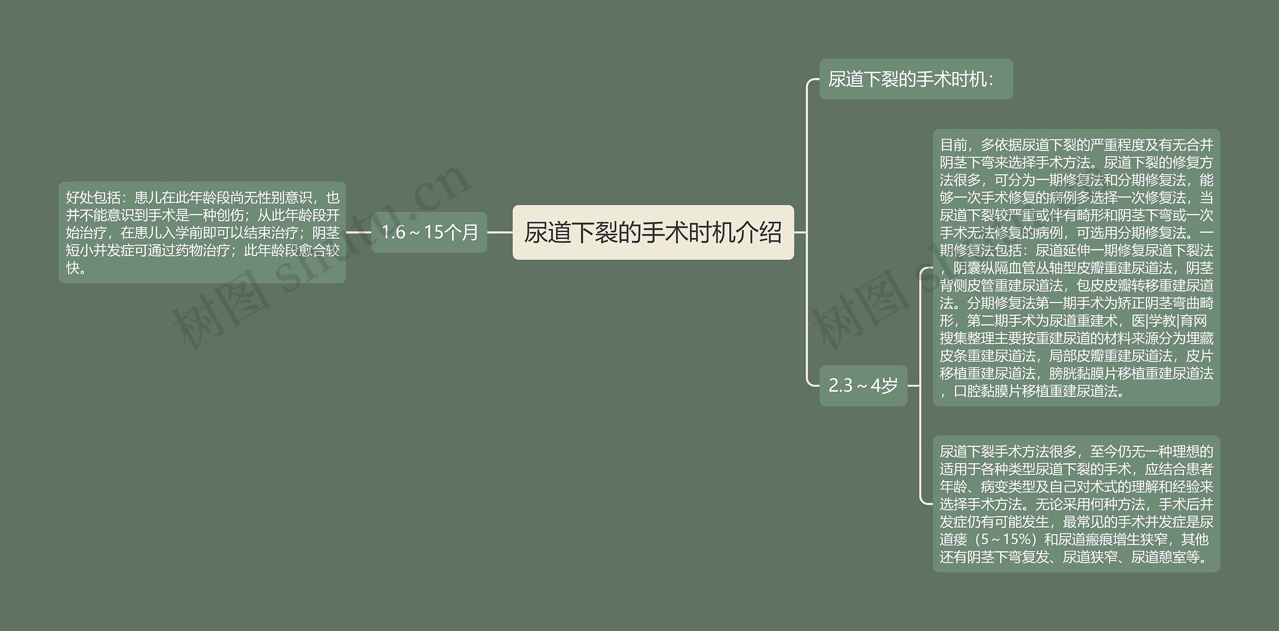 尿道下裂的手术时机介绍思维导图