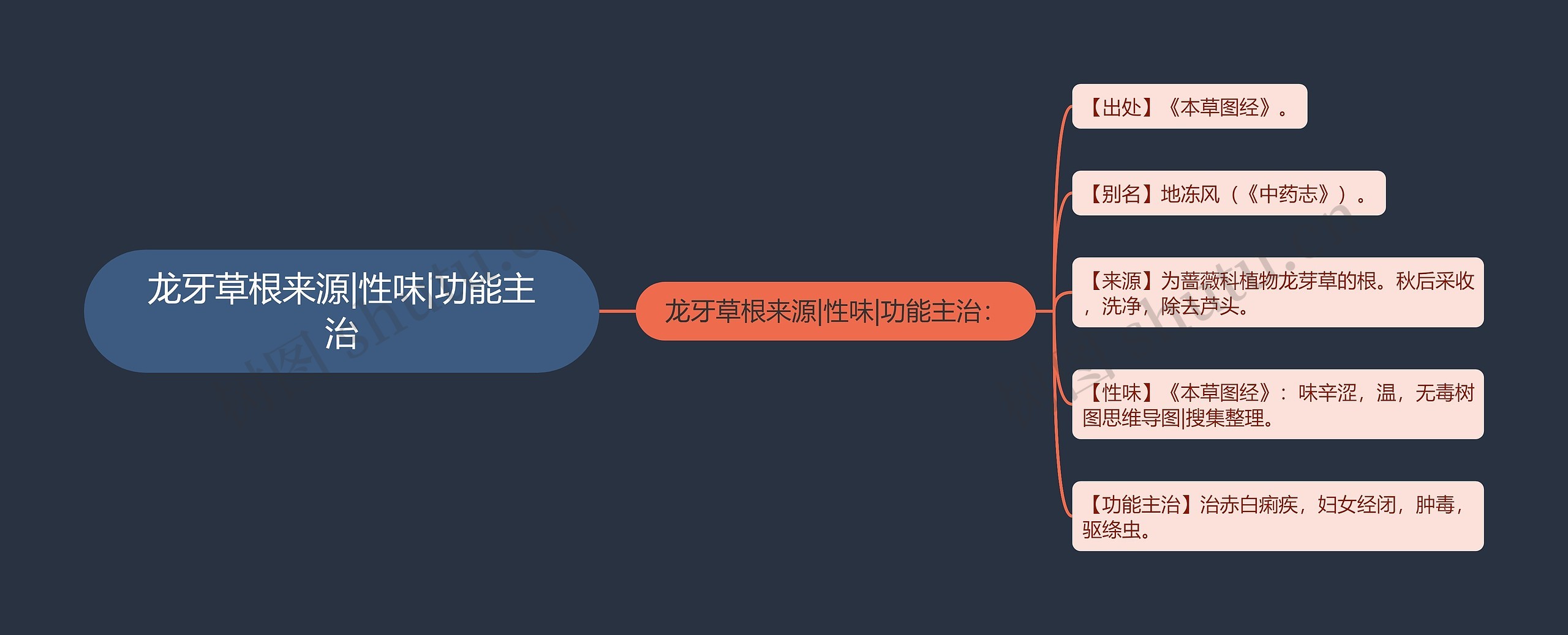 龙牙草根来源|性味|功能主治思维导图