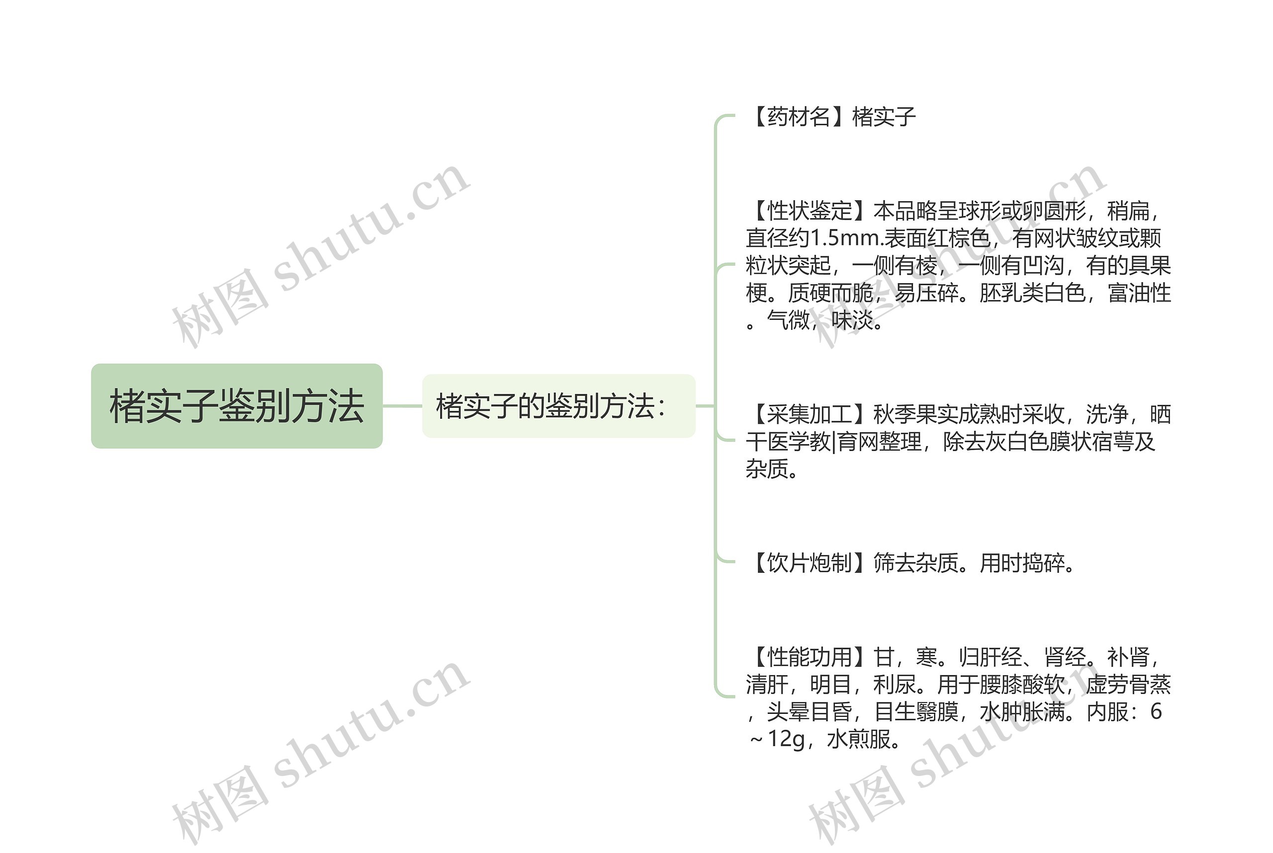 楮实子鉴别方法