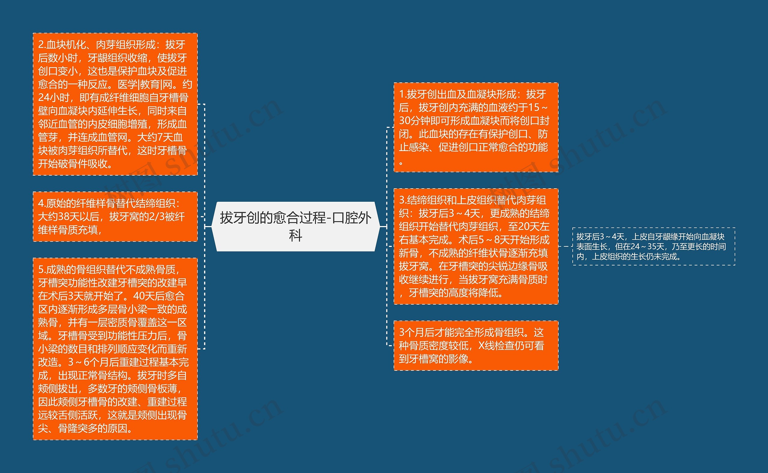 拔牙创的愈合过程-口腔外科思维导图