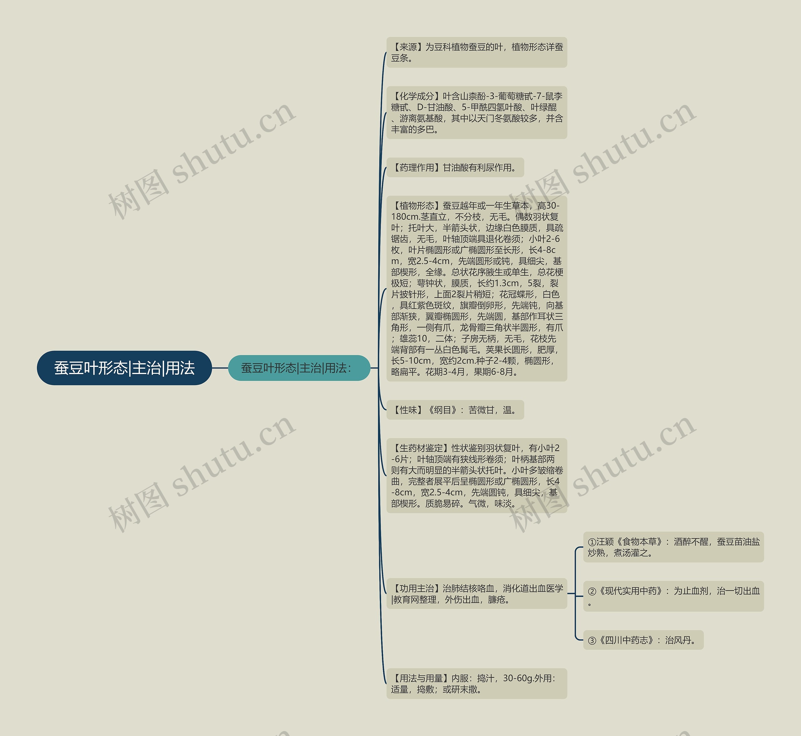 蚕豆叶形态|主治|用法思维导图