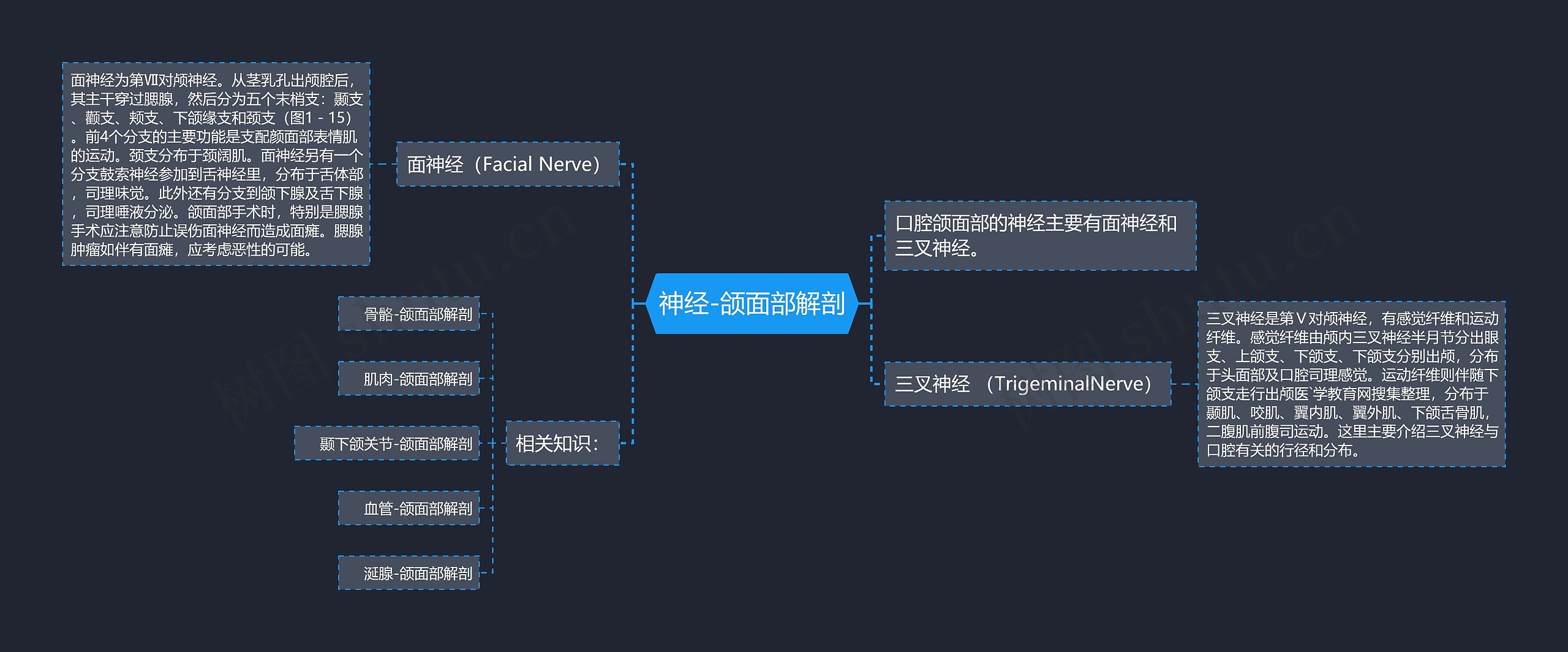 神经-颌面部解剖思维导图