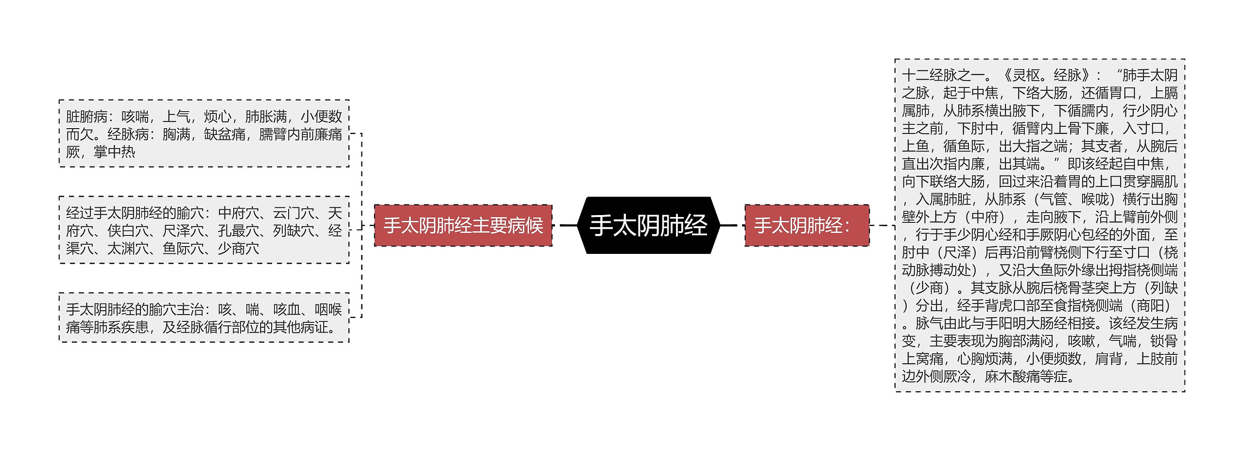 手太阴肺经