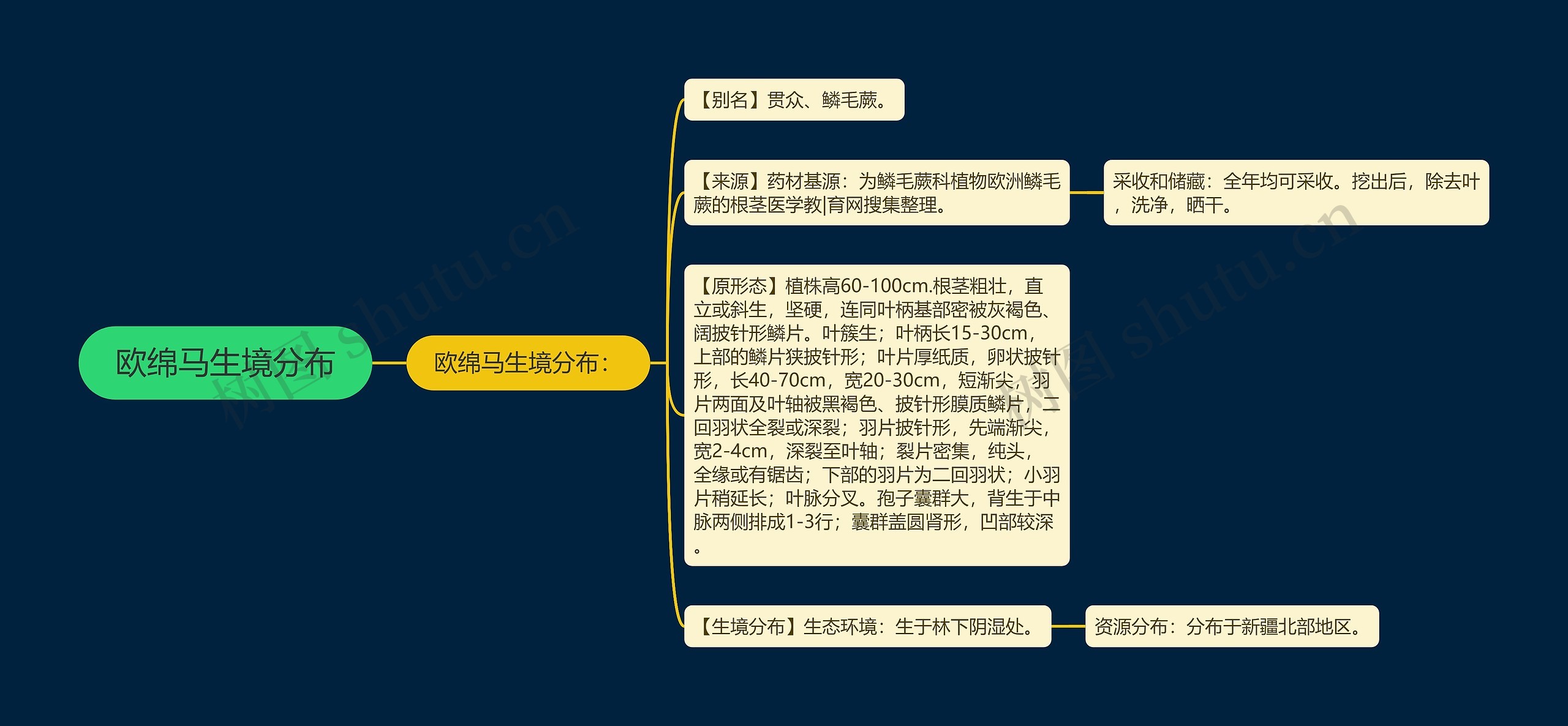 欧绵马生境分布思维导图