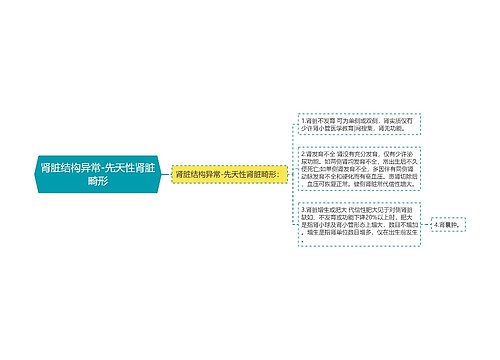 肾脏结构异常-先天性肾脏畸形