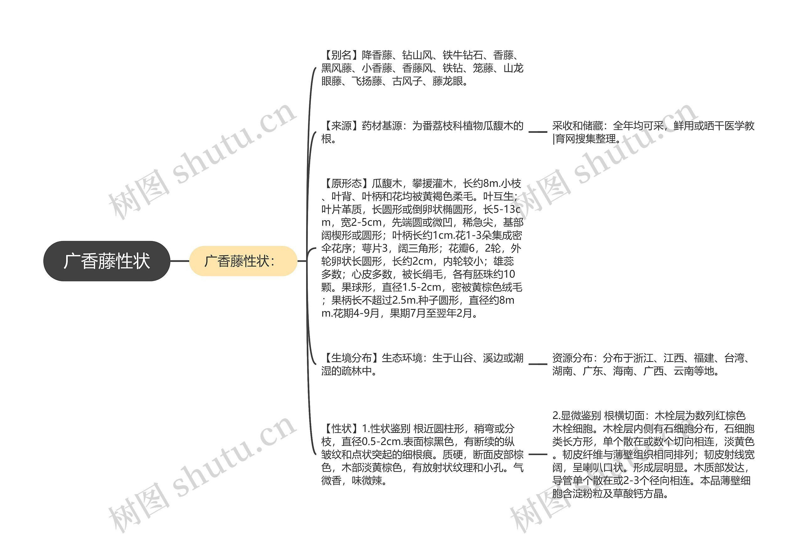 广香藤性状思维导图