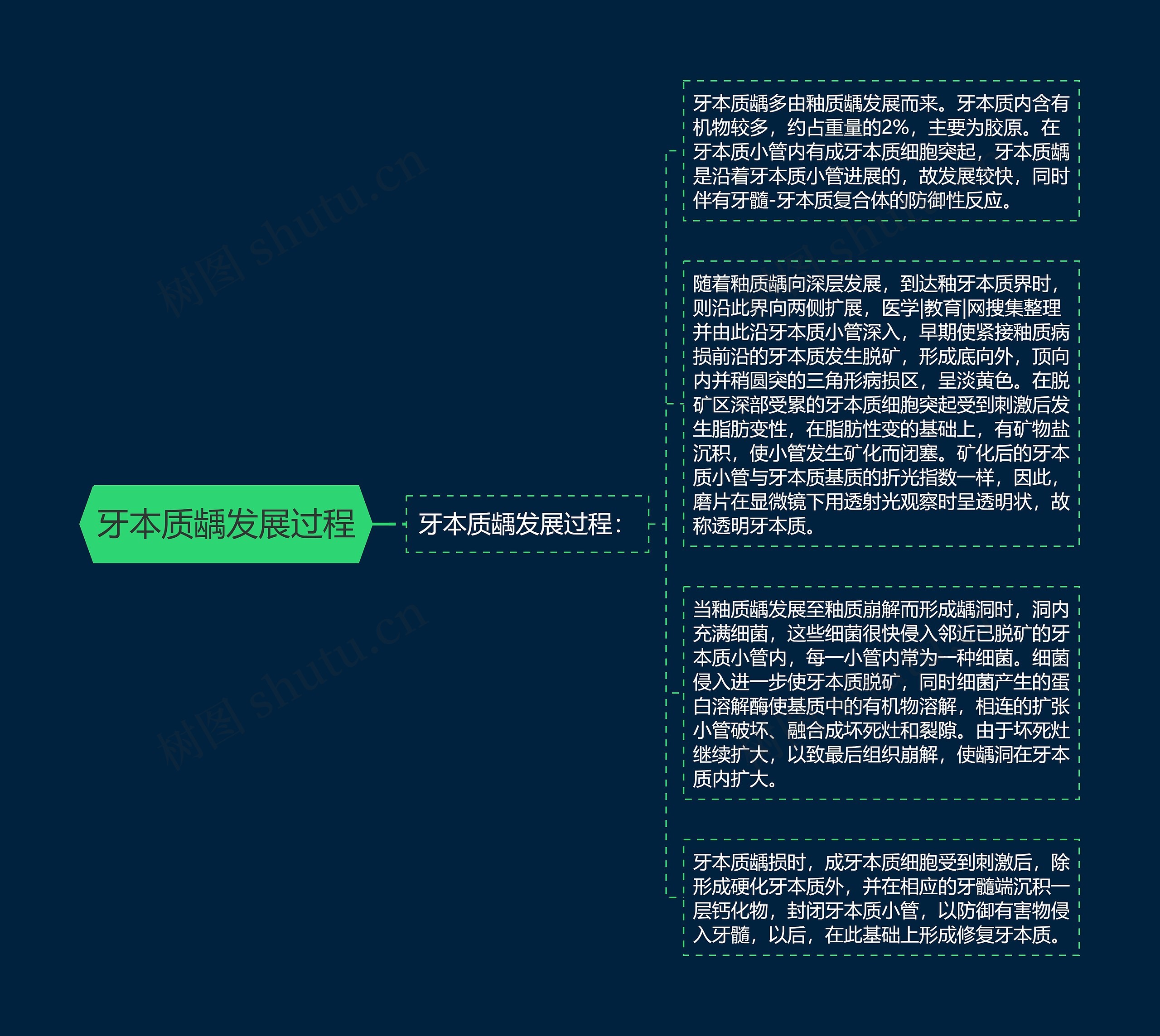 牙本质龋发展过程