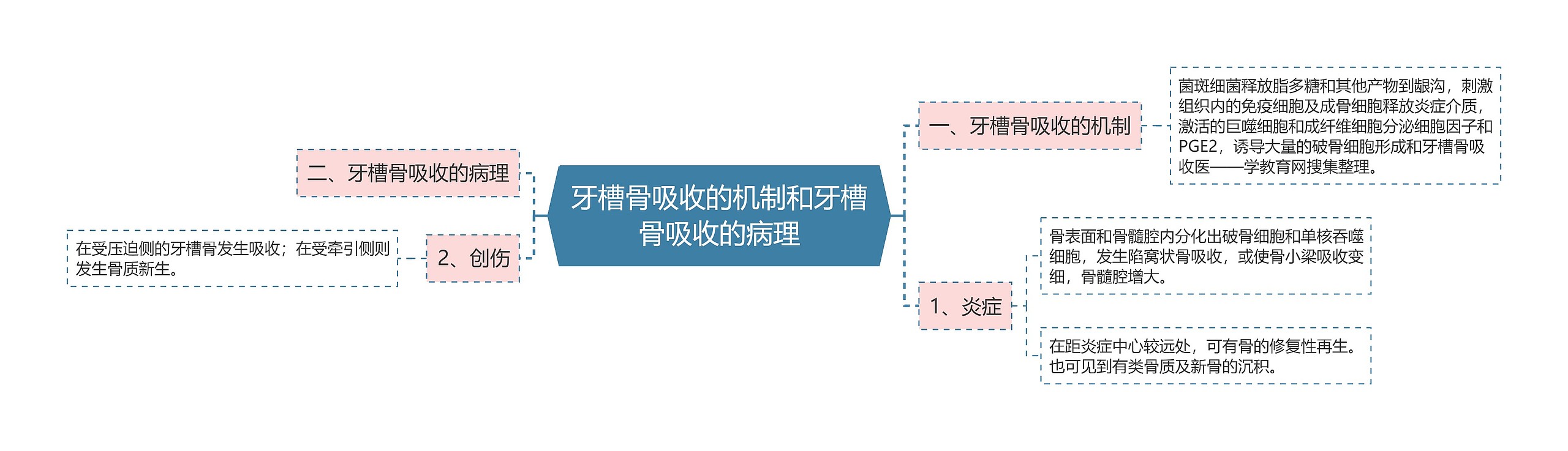 牙槽骨吸收的机制和牙槽骨吸收的病理思维导图