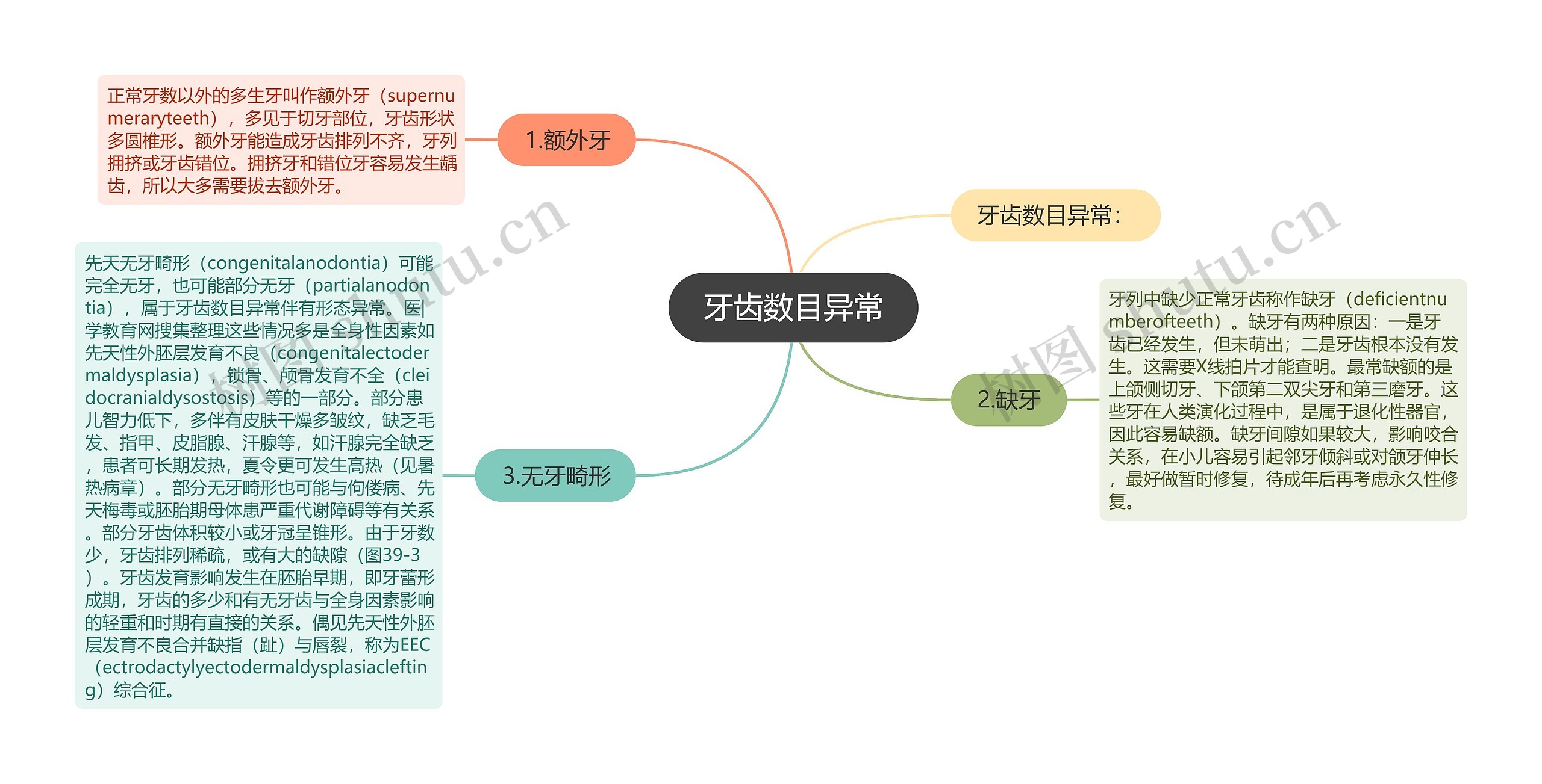 牙齿数目异常思维导图