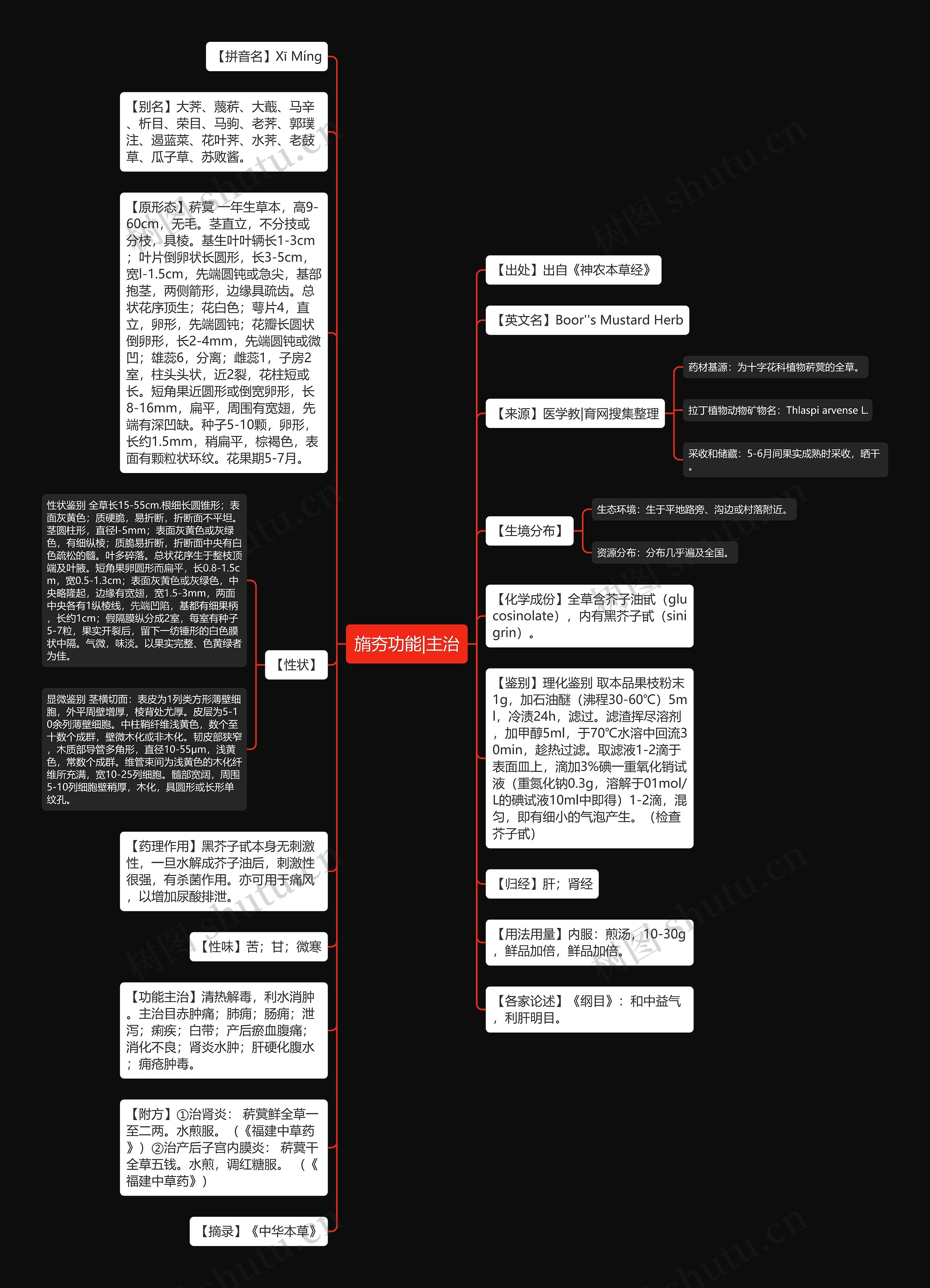 旓夯功能|主治思维导图