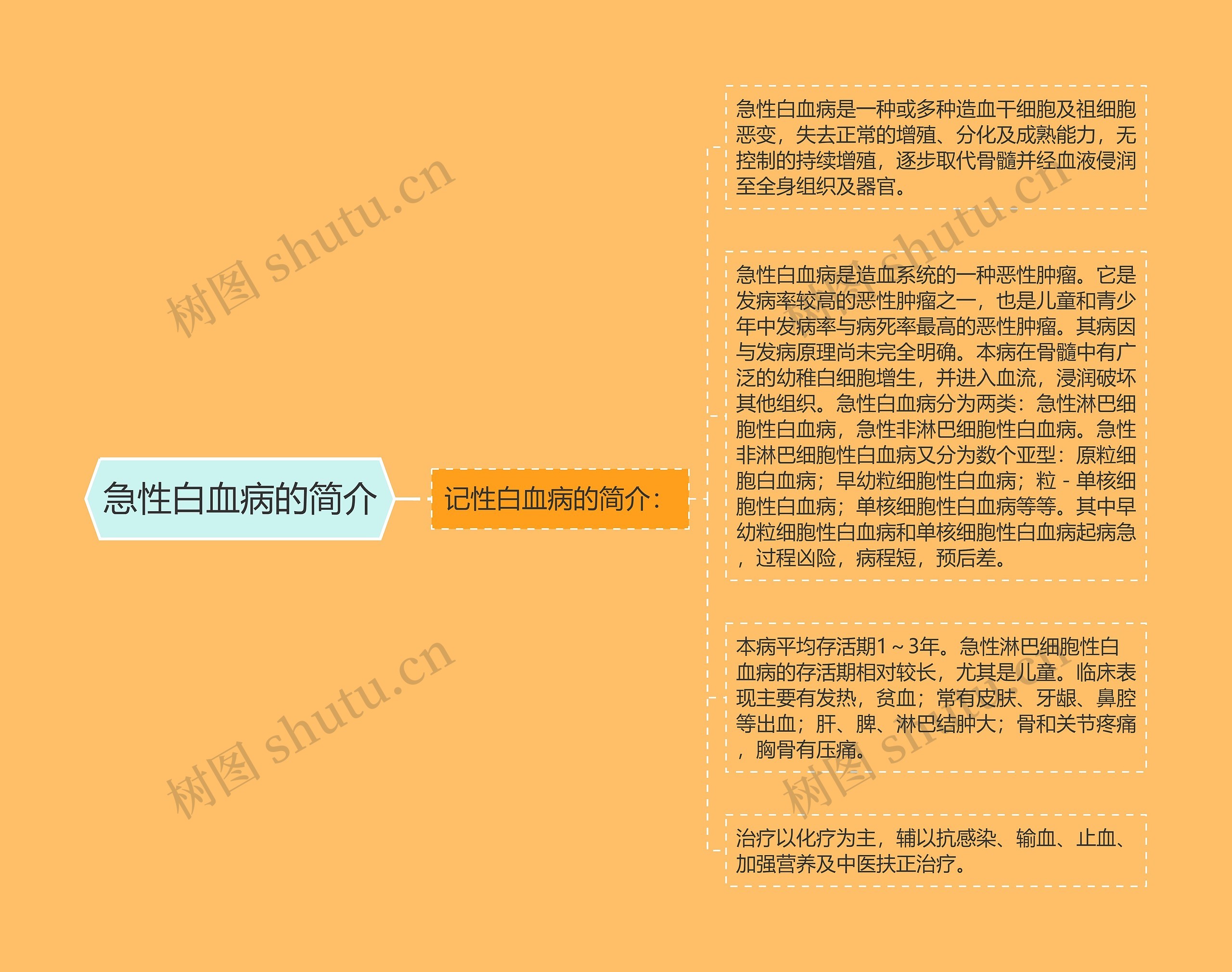 急性白血病的简介 急性白血病的简介