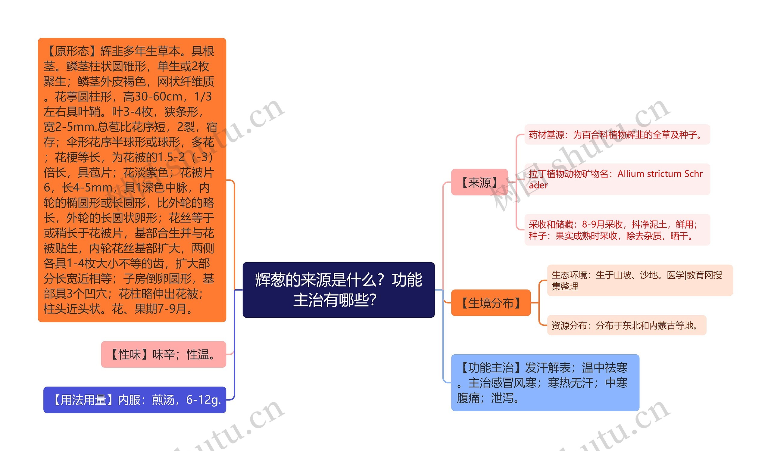 辉葱的来源是什么？功能主治有哪些？思维导图