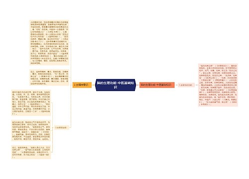 脑的生理功能-中医基础知识