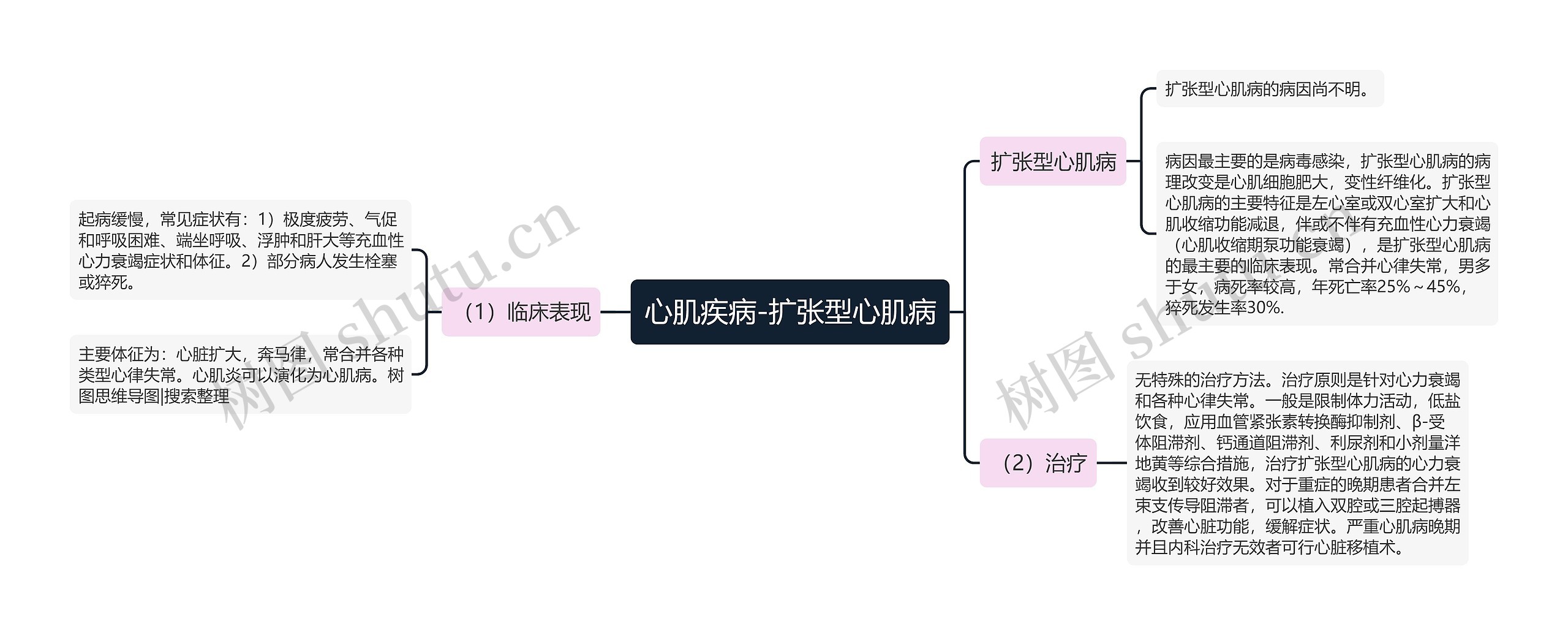 心肌疾病-扩张型心肌病思维导图