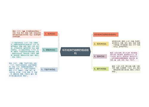 环形组淋巴结群的组成结构