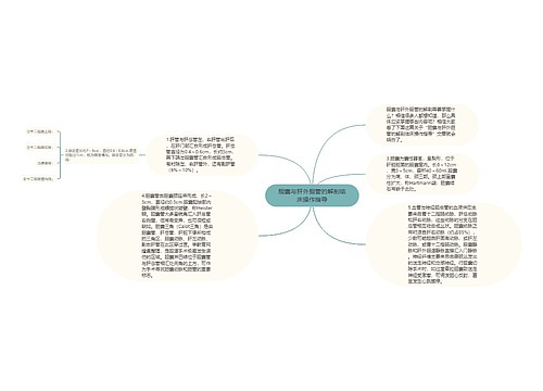 胆囊与肝外胆管的解剖临床操作指导