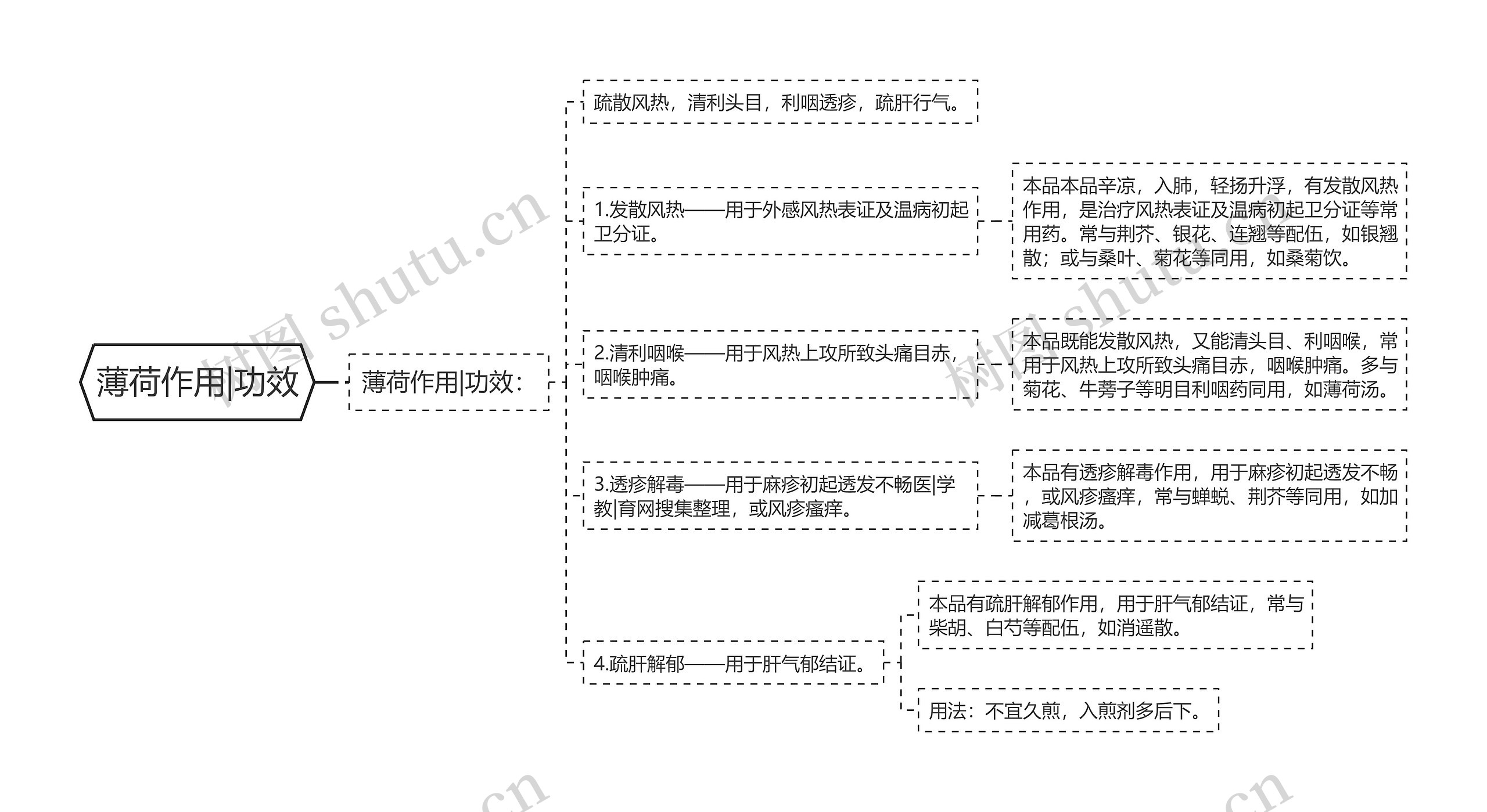 薄荷作用|功效思维导图