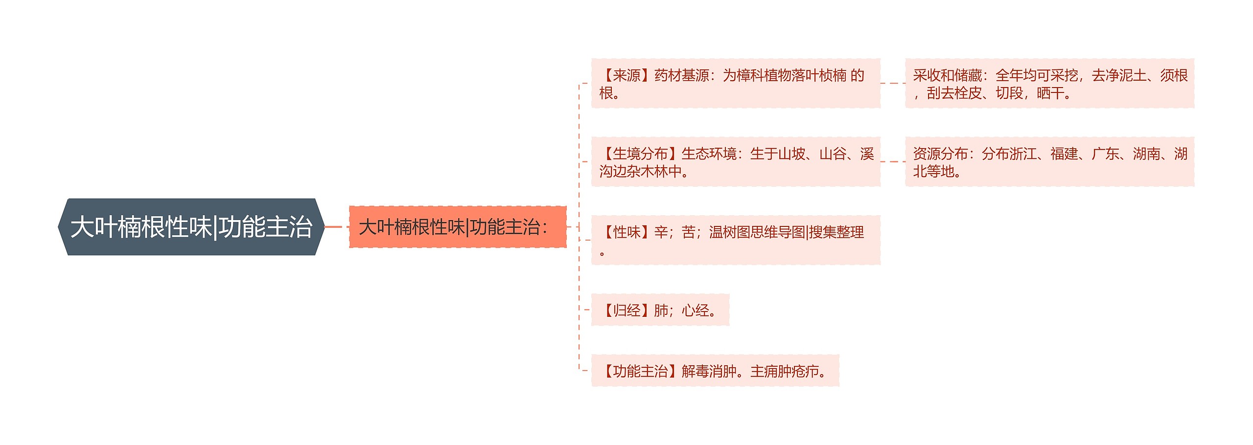 大叶楠根性味|功能主治