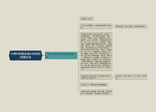 十两叶来源|生境分布|性味|功能主治