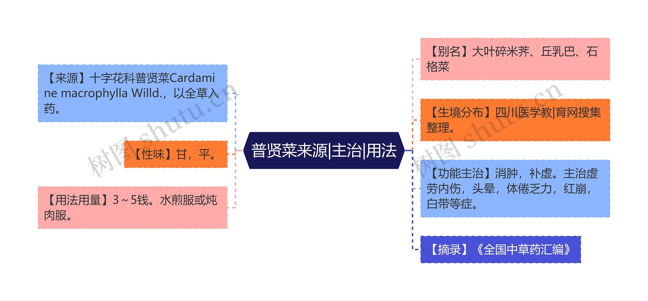 普贤菜来源|主治|用法思维导图