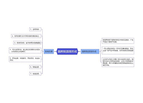 唇腭裂|面裂形成