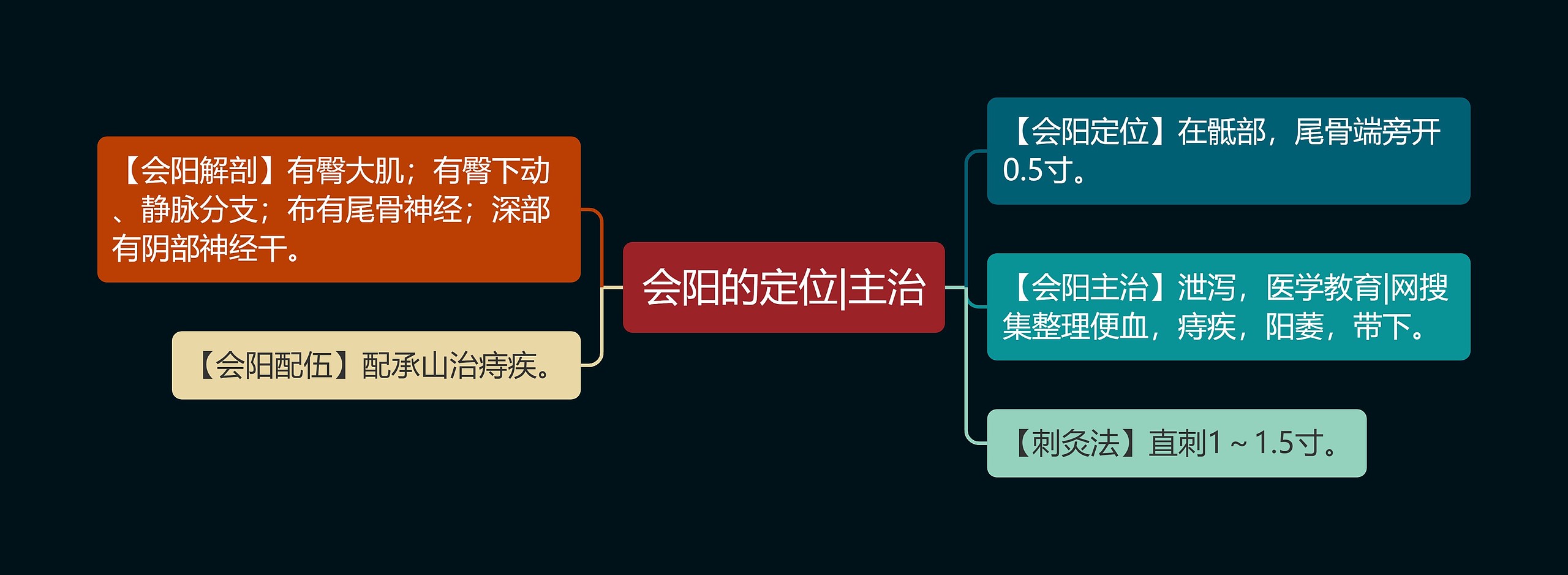 会阳的定位|主治思维导图