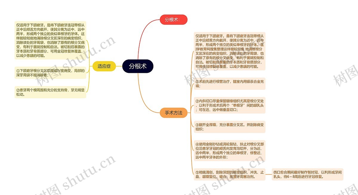 分根术思维导图_编号p6793318-TreeMind树图