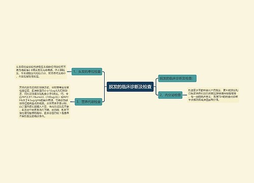 脱发的临床诊断及检查