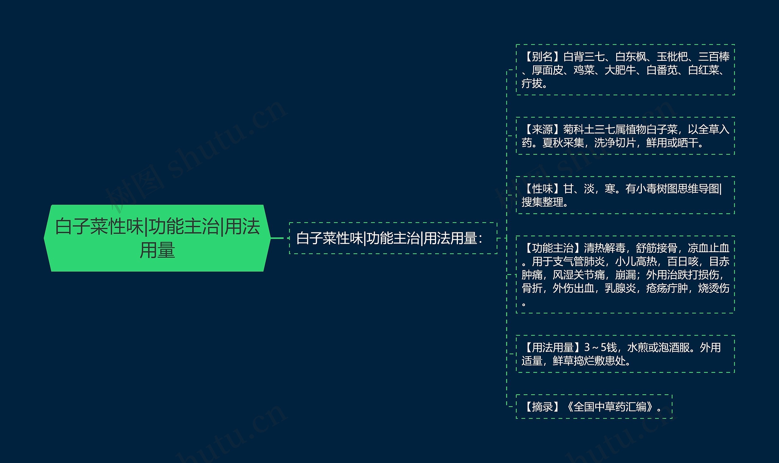 白子菜性味|功能主治|用法用量思维导图