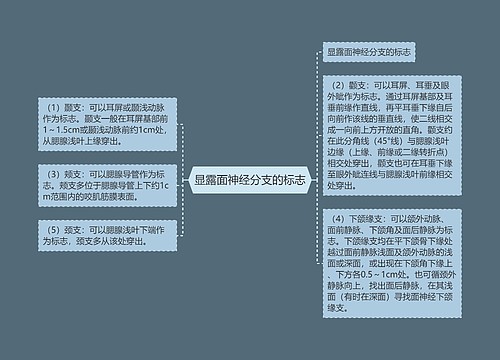 显露面神经分支的标志