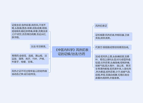 《中医内科学》风热犯表证的证候/治法/方药