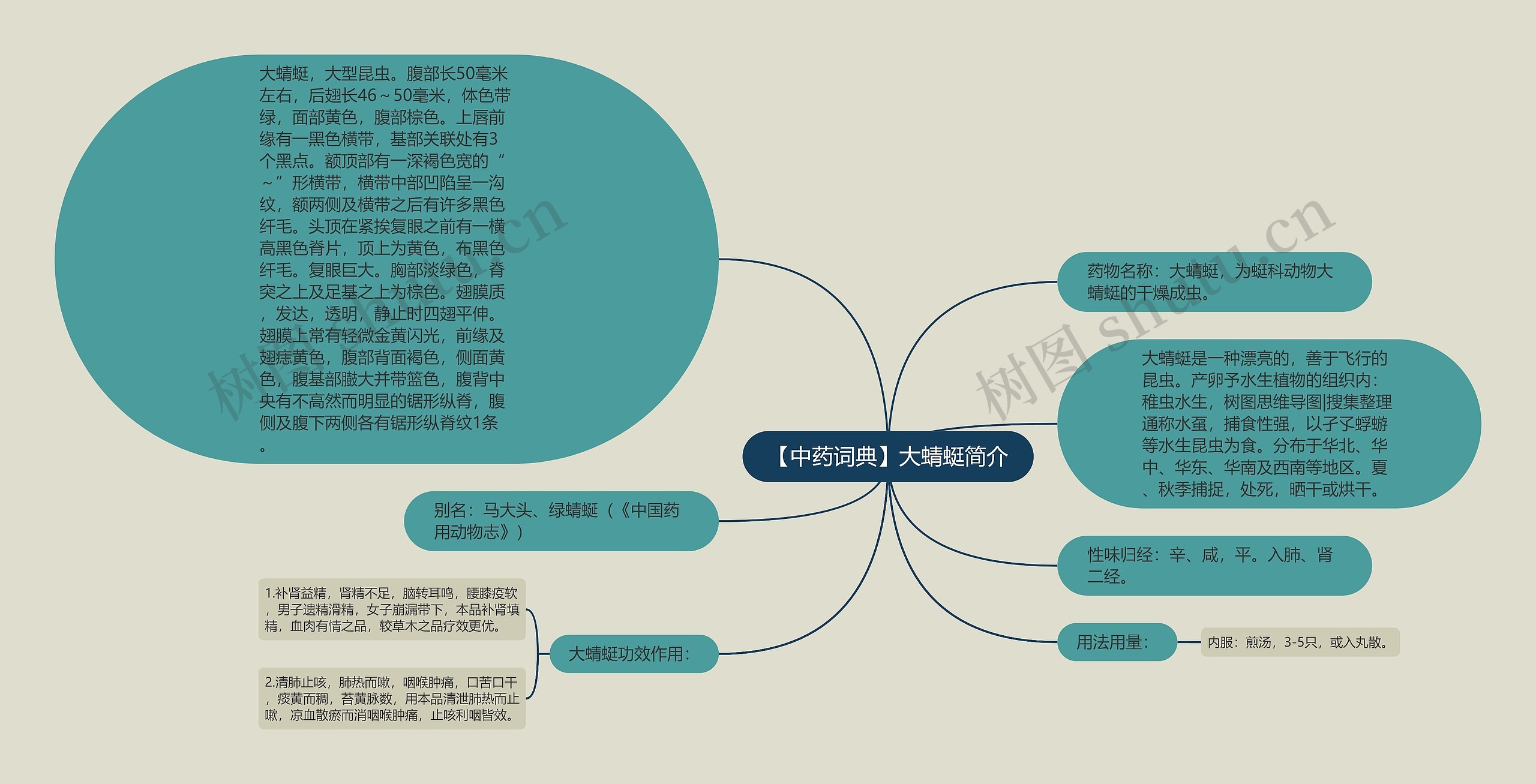 【中药词典】大蜻蜓简介思维导图