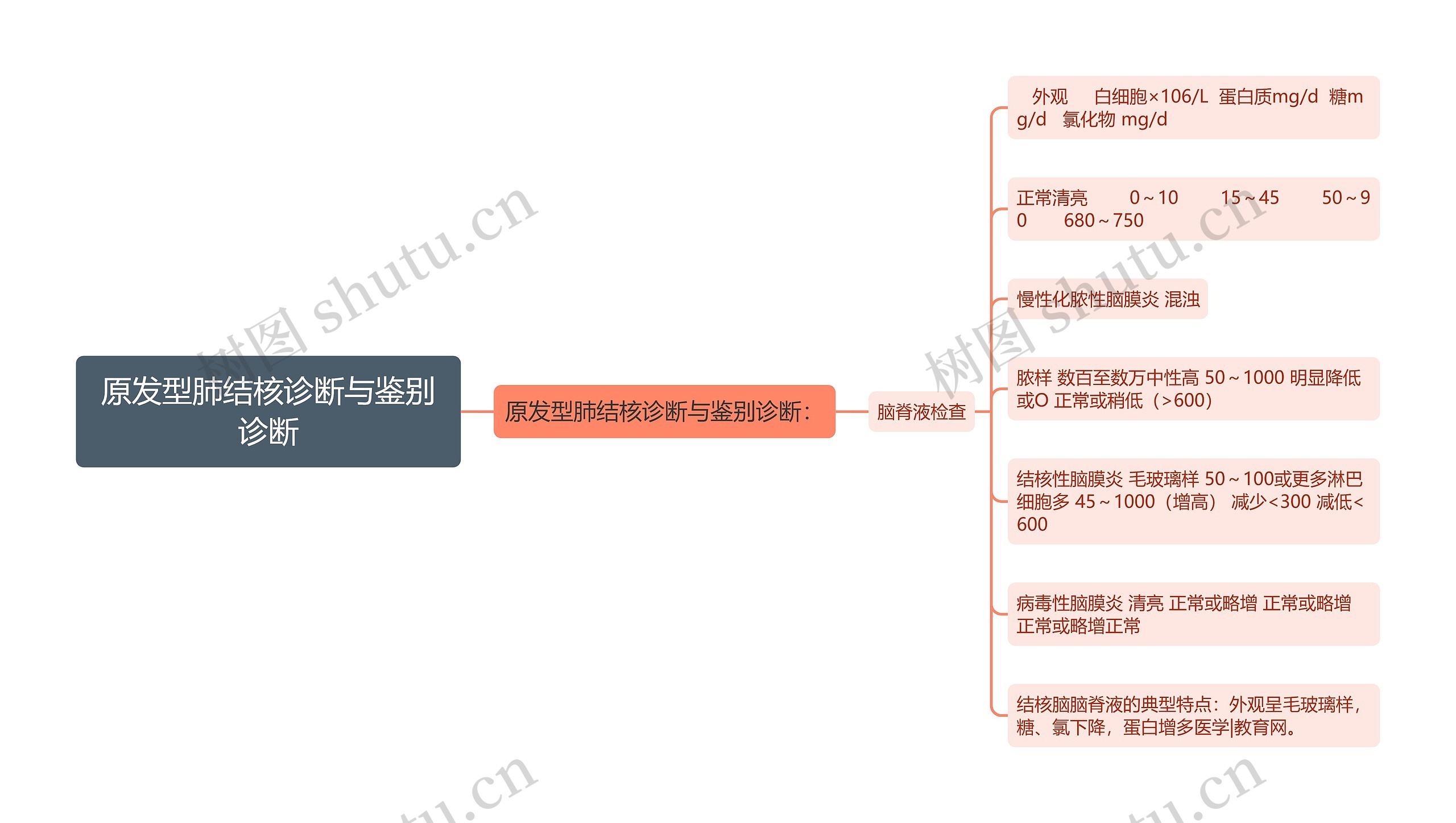 原发型肺结核诊断与鉴别诊断思维导图